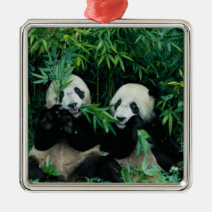 Twee panda's eten samen bamboe, Wolong Metalen Ornament