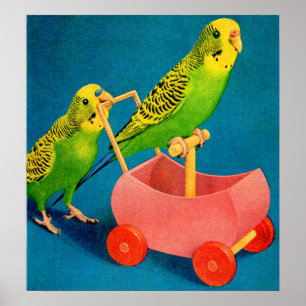 twee paraketten poster