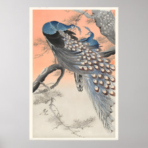Twee pauwen op boomtak Japanse fijne kunst Poster