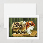 Twee pekingese honden briefkaart (Voorkant / Achterkant)