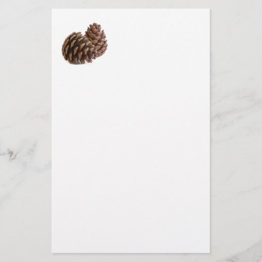 Twee pinecones briefpapier (Voorkant)