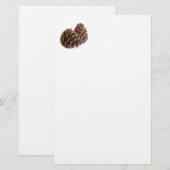 Twee pinecones briefpapier (Voorkant / Achterkant)