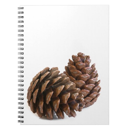 Twee pinecones notitieboek (Voorkant)
