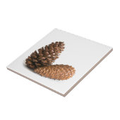 Twee pinecones tegeltje (Zijkant)