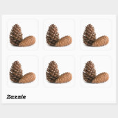 Twee pinecones vierkante sticker (Vel)