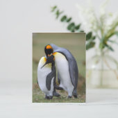 Twee pinguïns briefkaart (Staand voorkant)