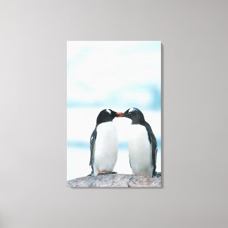 Twee pinguïns die de pieken aanraken canvas afdruk