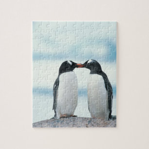 Twee pinguïns die de pieken aanraken legpuzzel