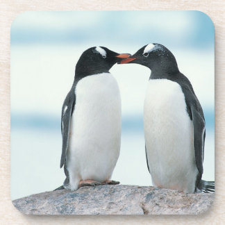Twee pinguïns die de pieken aanraken onderzetter
