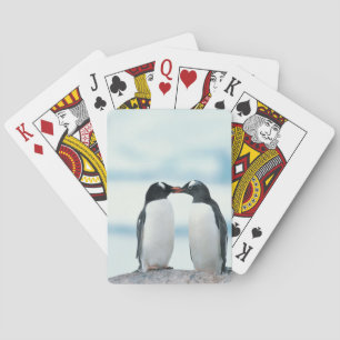 Twee pinguïns die de pieken aanraken pokerkaarten