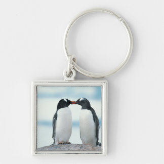 Twee pinguïns die de pieken aanraken sleutelhanger
