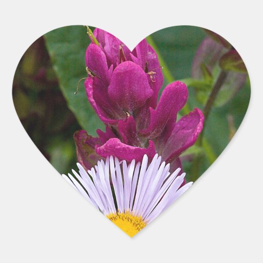 Twee Pinks Hart Sticker (Voorkant)