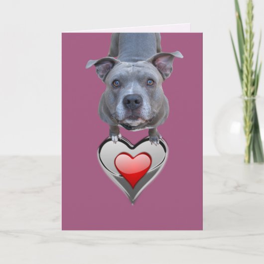 Twee Pitbull-Valentijnsdag-kaarten Feestdagen Kaart (Voorkant)
