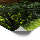 Twee Poster van het gepompte kameel (Hoek)