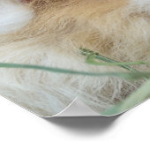 Twee Posters van Cute Guinee (Hoek)