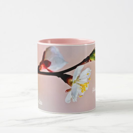 Twee prachtige Japanse abrikozenbloemen Mok (Midden)