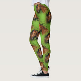 Twee prachtige kastanjepaarden in de zon leggings