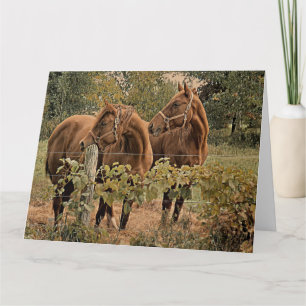 Twee prachtige paarden - Happy Birthday Kaart