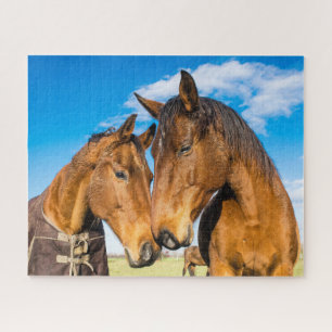Twee prachtige paarden legpuzzel