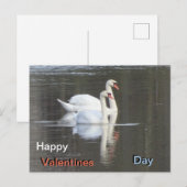 Twee prachtige Swans Valentijns Briefkaart (Voorkant / Achterkant)