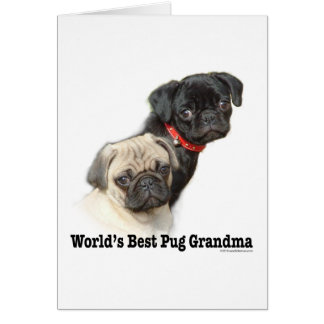 Twee pugs