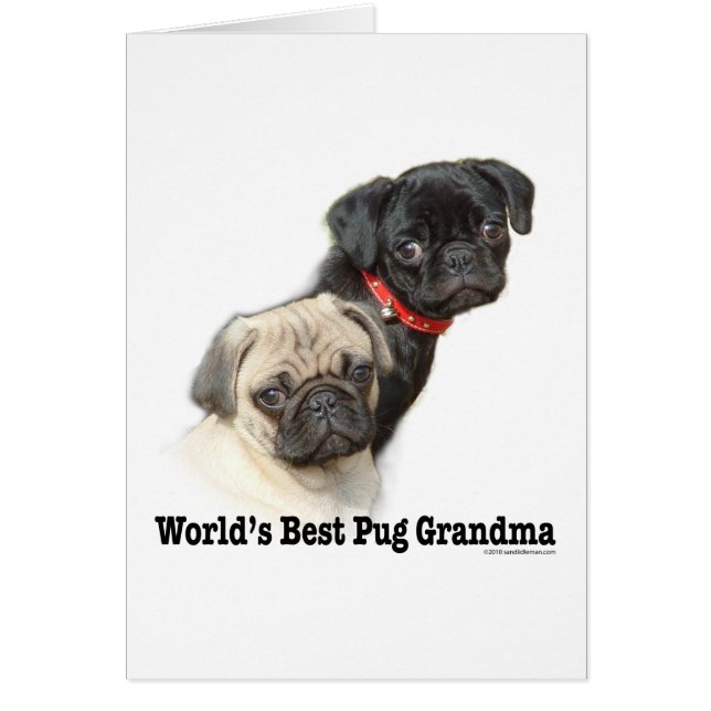 Twee pugs (Voorkant)