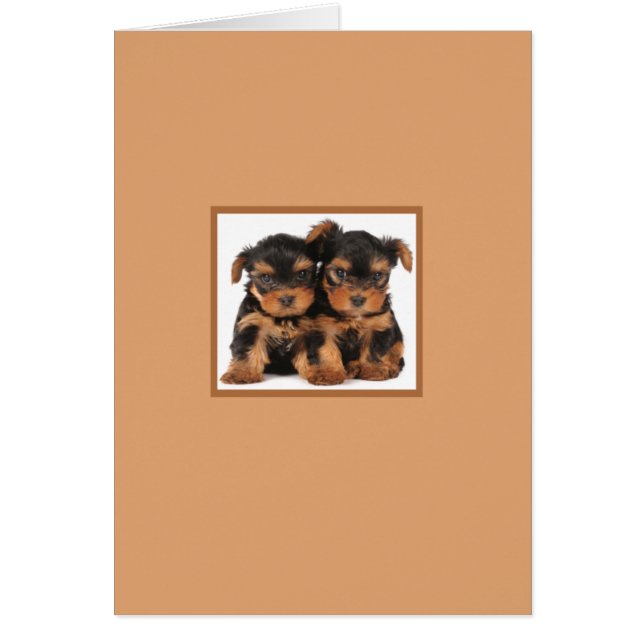 Twee Puppies (Voorkant)