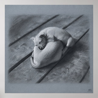 Twee Puppies Archief Tekeningprint Poster