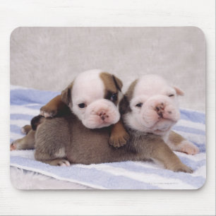 Twee puppies met bulldog op handdoeken muismat