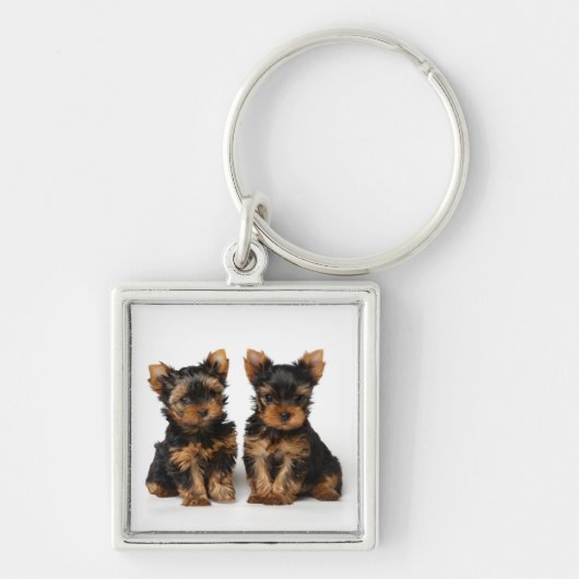 Twee puppies sleutelhanger (Voorkant)
