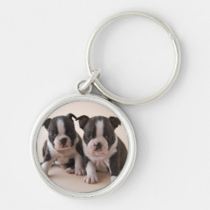 Twee Puppies van Boston Terrier Sleutelhanger