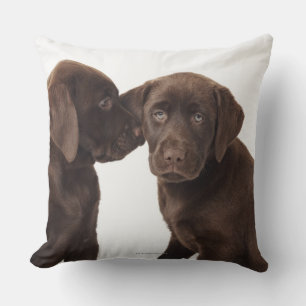 Twee Puppies voor chocolade-labrador-reproductiedr Kussen