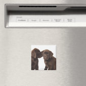 Twee Puppies voor chocolade-labrador-reproductiedr Magneet (Insitu (Vaatwasser))