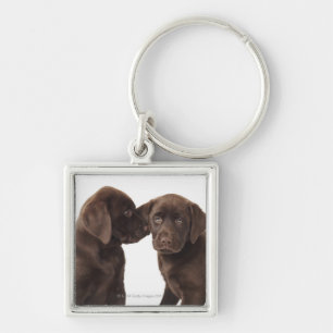 Twee Puppies voor chocolade-labrador-reproductiedr Sleutelhanger