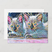 Twee ragdoll kittens briefkaart (Voorkant / Achterkant)