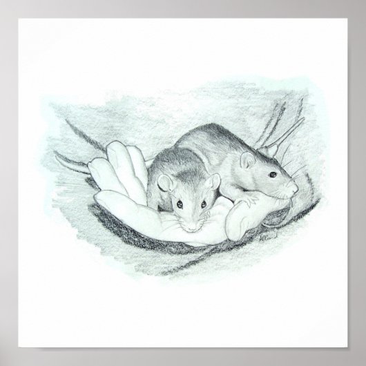 Twee ratten in de hand poster (Voorkant)