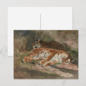 Twee rechthoekige tigers (1887) briefkaart (Voorkant / Achterkant)