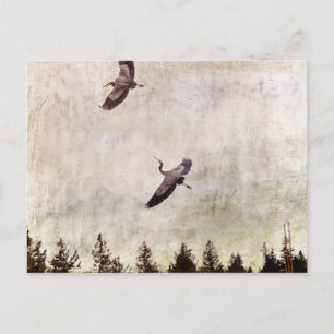 Twee reigers vliegen foto briefkaart