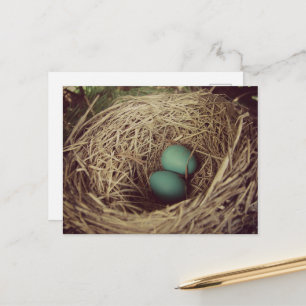 Twee Robineieren in een Nest Briefkaart