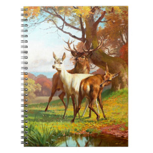 Twee rode en witte bier in het bos notitieboek