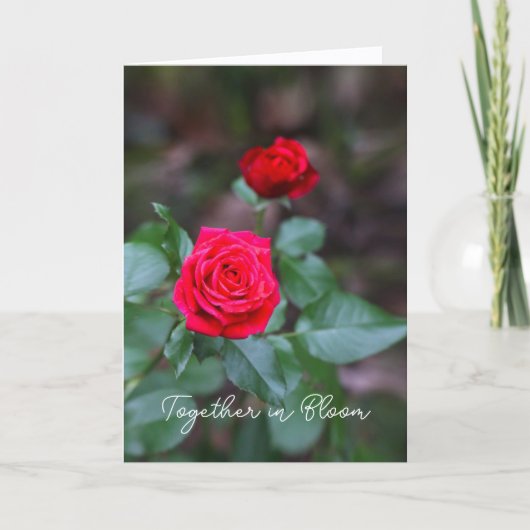 Twee rode rozen voor Valentijnsdag Kaart (Voorkant)