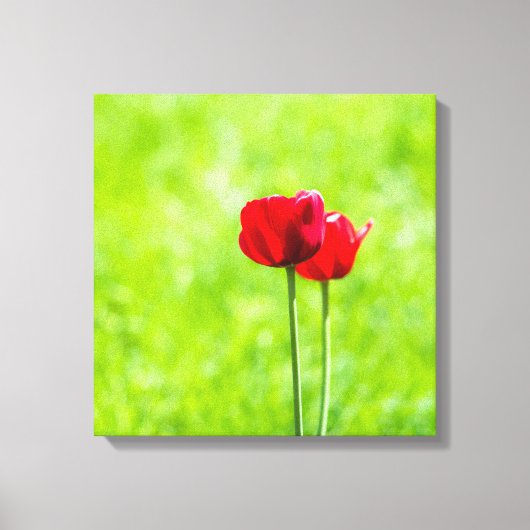 Twee rode tulpbloemen canvas afdruk (Voorkant)