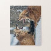 Twee roodvaten vechten legpuzzel (Verticaal)