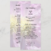 Twee Roze Clematis Programma (Voorkant / Achterkant)