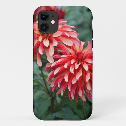 Twee roze dahlia bloemen Case-Mate iPhone case (Achterkant)