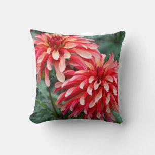 Twee roze dahlia bloemen werpen kussen