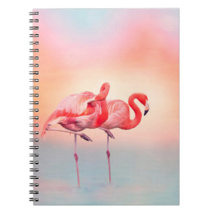 Twee roze flamingos in het water bij sunsetflaming notitieboek
