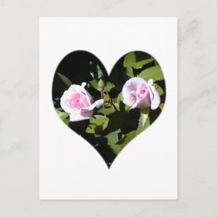 Twee roze rozen in een hart briefkaart