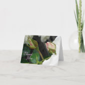 Twee roze rozentoppen Dank u Nota Kaart (Voorkant)