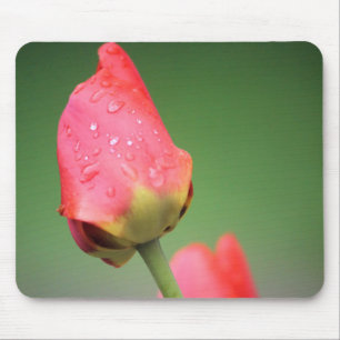 Twee Roze Tulp Muismat